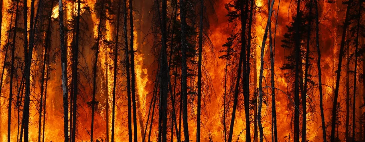 Are You Prepared for Wildfire Season?