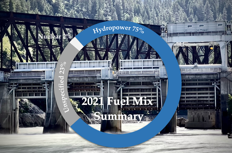 2021 Fuel Mix Graphic